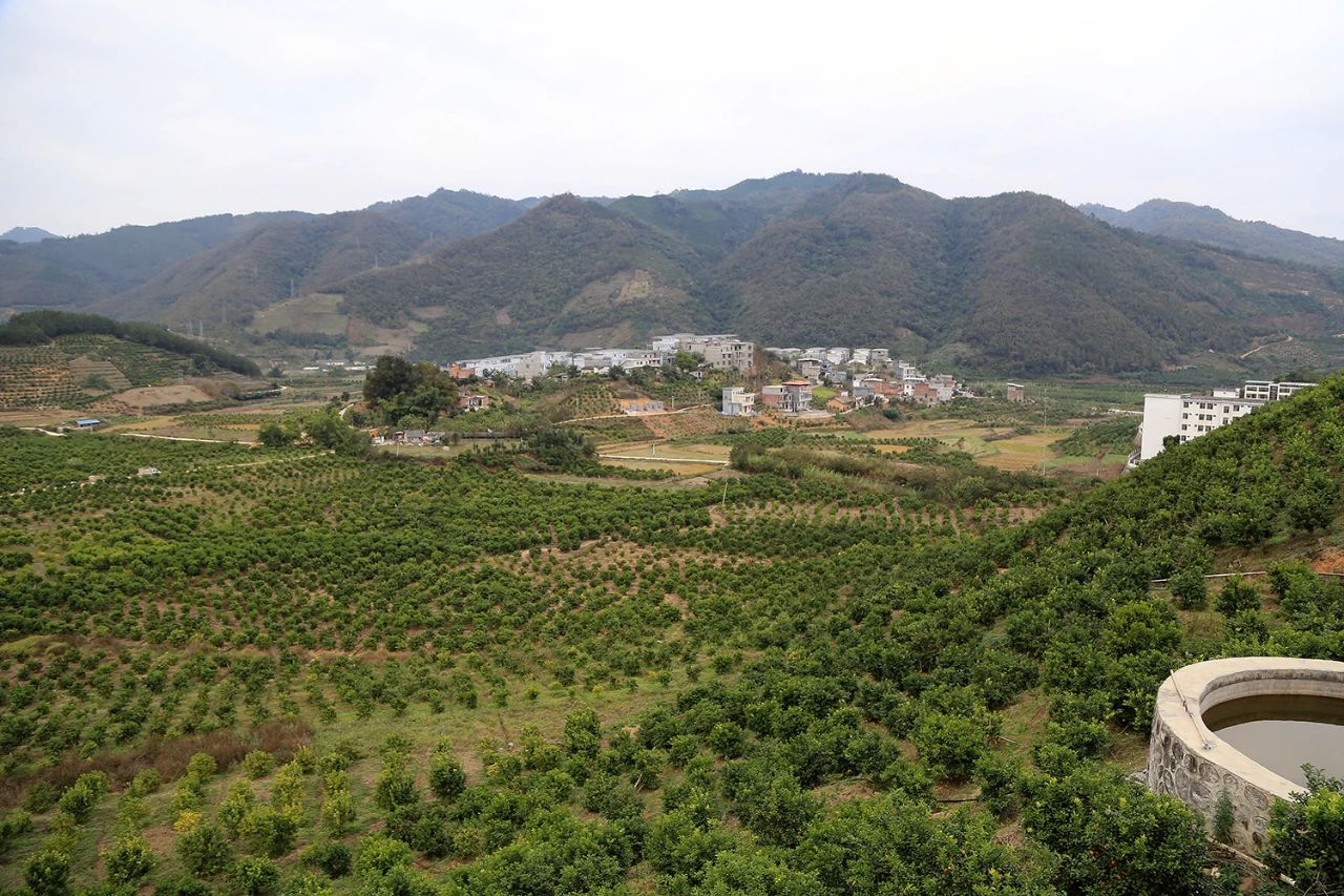 水土保持與荒漠化治理